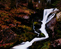 【新手入门版】零基础的轰炸手机号在线使用