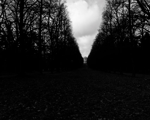 一键切换便利的接码短信平台